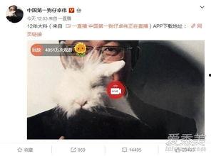 邯郸出轨爆料事件最新,真相大白，当事人身份及细节曝光